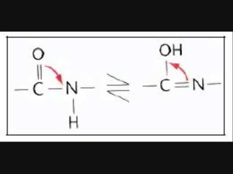 enlace peptidico}