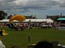 Parachuting Flag bearer