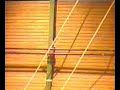 Electric bat flight