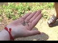 India: Erode part 1