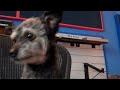 Uberzone Bunk Pitch Promo Video