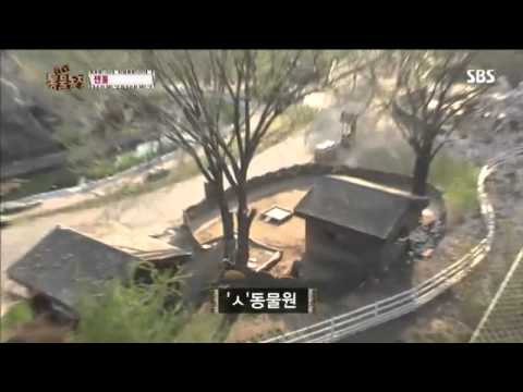 SBSculture - 공식홈페이지 : http://tv.sbs.co.kr/zoo 최신 영상 더보기 : http://netv.sbs.co.kr 동물농장 614회 #1.
