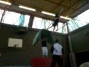 Longswing Flyaway Longswing Flyaway