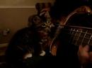 Bunkie learns the bass!