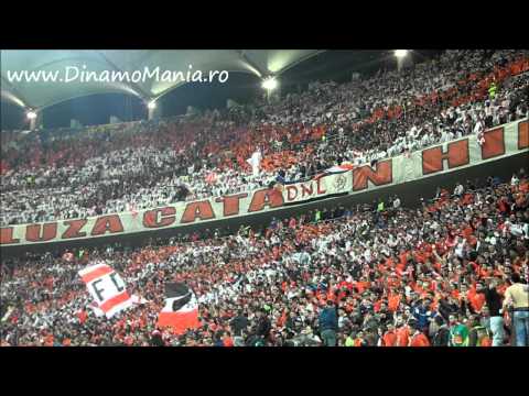 PCH la Dinamo - steaua 1-1 in Cupa