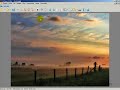 Video aula 1 copiar imagens,sons Powerpoint.avi Video aula 1 copiar imagens,sons Powerpoint.avi