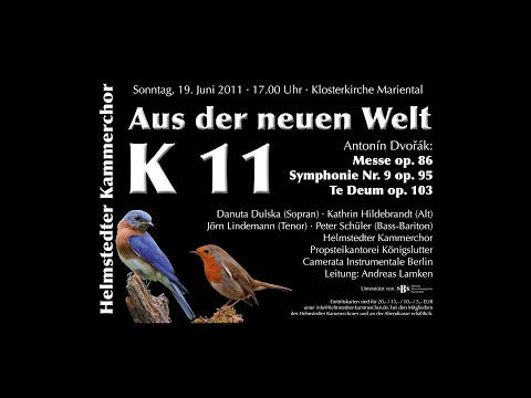 D Dur - Konzert 11 des Helmstedter Kammerchores, 2011-06-19, Klosterkirche Mariental, Danuta Dulska (Sopran), Kathrin Hildebrandt (Alt), Jörn Lindemann (Tenor), Pete...