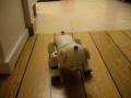 Genibo Aibo Loudness Comparison