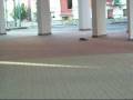videos de test eZrun maximom1 rc drift