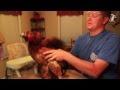 Chicken Powered Steadicam - Smarter Every Day