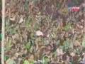 asse chateauroux