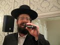 Yisroel Werdyger sings Modim Anachnu