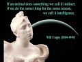 Auguste Rodin: Sculptures