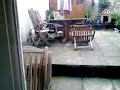 VIDEO_051 VIDEO_051