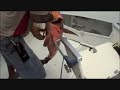 Panama Big Game Fishing Club Snapper Fishing Panama Big Game Fishing Club Snapper Fishing