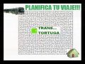 CUECA DEL TRANS...TORTUGA