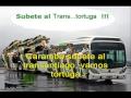 CUECA DEL TRANS...TORTUGA