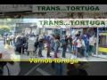 CUECA DEL TRANS...TORTUGA