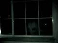 videos de ALIEN VEDIO BY NASA CREATION