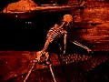 Marduk - Throne Of Rats