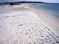 YouTube - Dunedin Florida, Refreshing Hikes, Honeymoon Island