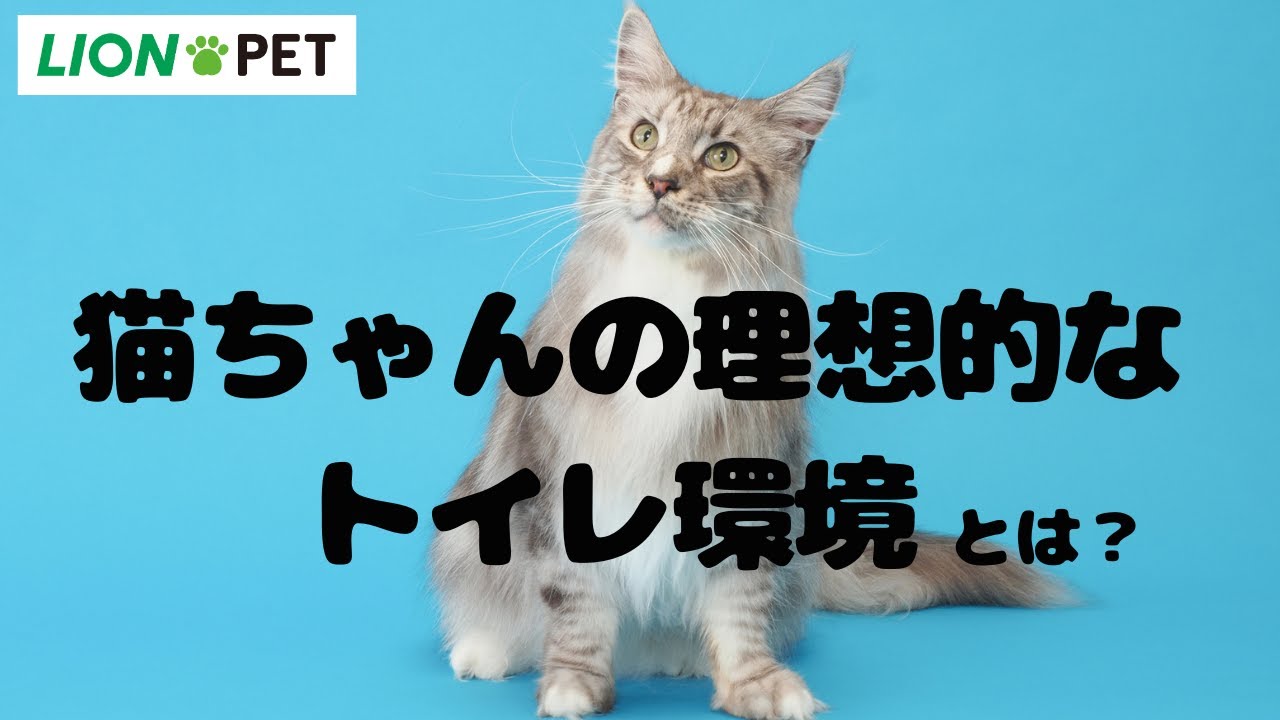 理想のトイレ環境 5つの約束