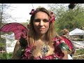 Talking Politics With Fairies