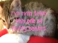 Kitty Condo, Dj Inphinity