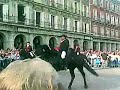 Caballos menorquines en Madrid Caballos menorquines en Madrid