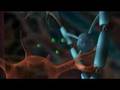 Multiple Sclerosis - Myelin Repair