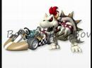 Mario Kart Wii Unlockable Characters