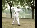 Hong (Shaolin) Short Staff Hong (Shaolin) Short Staff
