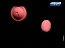Meilleure publicit� sportive Sportel 2008 Monaco