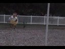 GTS GeorgeG Goes on swing Tampa FL
