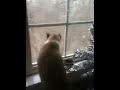 B'elanna sees snow