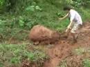 lodito en chiapas 3