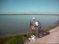 El Albufera and El Palmar