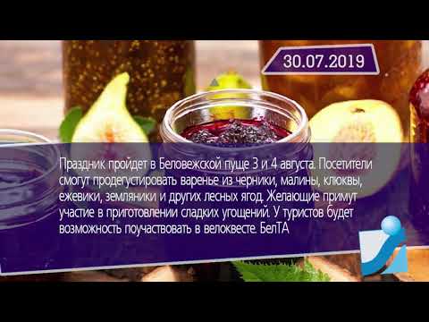 Новостная лента Телеканала Интекс 30.07.19.