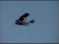 Beaver RX 550 Amphib rotax 582 Kitfox floatplane landing