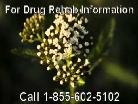 Best Reviewed Alcohol Rehab Centers Close to Lakewood
