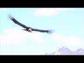 El Condor Pasa