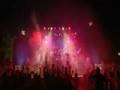 videos de Cheetah Love