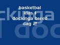 basketbal dockinga breed klas 1 dag 2