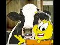 milk-by-sodcow-by-me.html