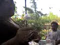 asi asi asado asi asi asado