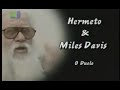 Hermeto e Sivuca 7 - Forrozão no 8-baixos Hermeto e Sivuca 7 - Forrozão no 8-baixos