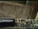 Ver Video