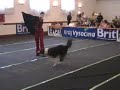 The Championship of the CZ - 3rd Freestyle