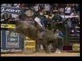 PBR rider Justin McBride clinches the 2007 PBR World Title on the back of the bull Camo.