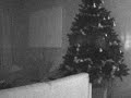 Kerstboom terrorist